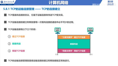計算機網絡信息咨詢 深入解析運輸層（第5層）的核心功能與應用