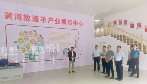 山東省人社廳赴單縣調研，推動羊肉湯專項職業技能培訓品牌化與規范化發展